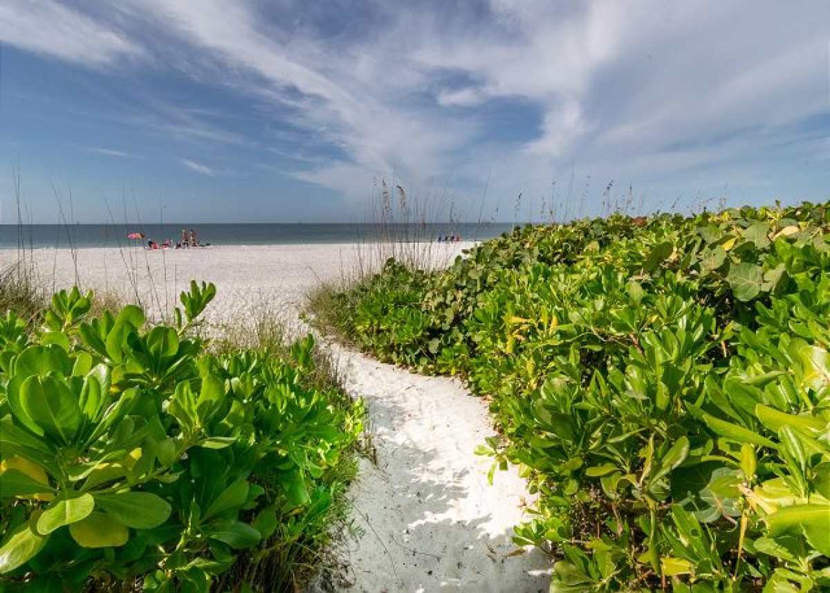 Island Vacation Properties-Seaside Beach House 102 -1