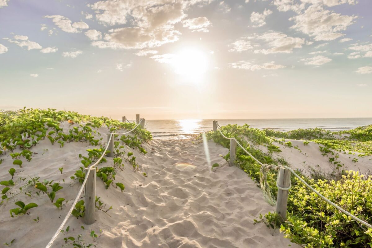 ami beach update 