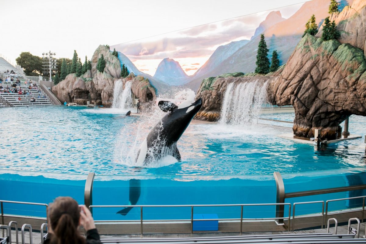 Sea World Orlando