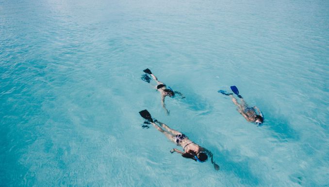 people snorkeling in Ami